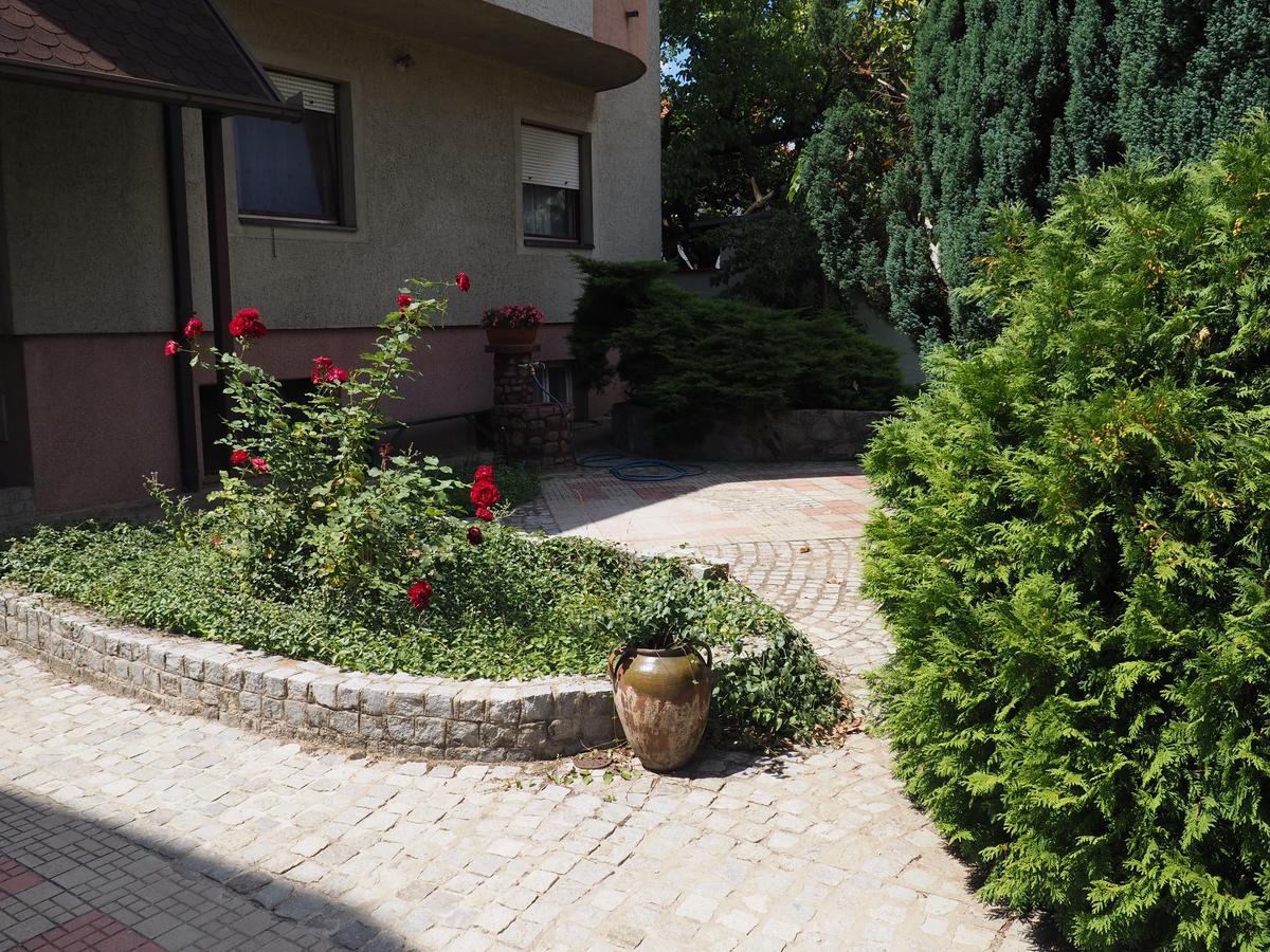 Guest House Stefanovic Vranje Exteriér fotografie