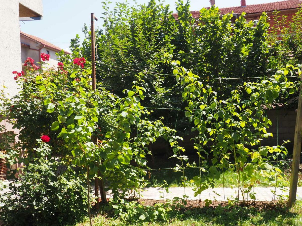 Guest House Stefanovic Vranje Exteriér fotografie